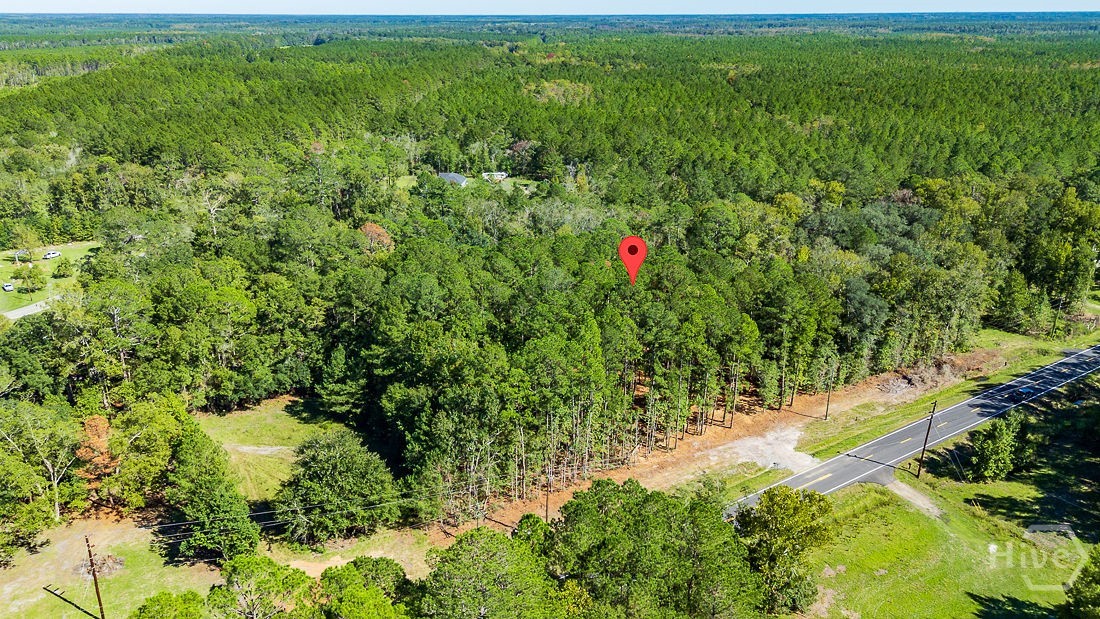 5590 Highway 17 Property Photo 3