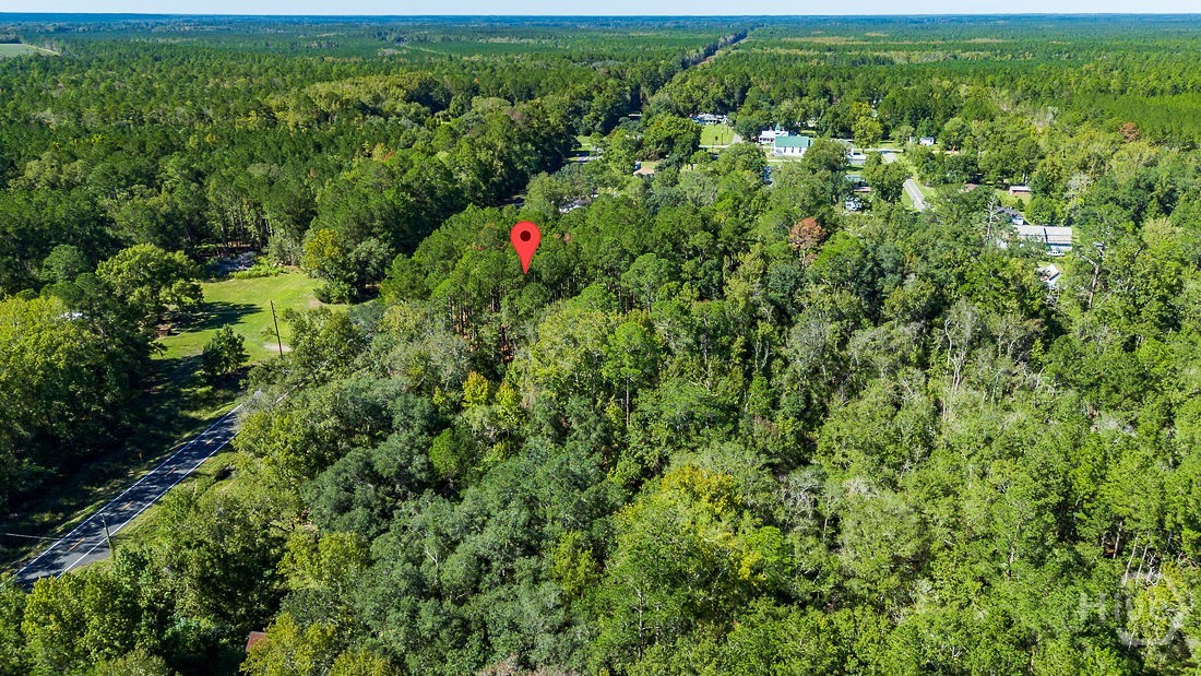 5590 Highway 17 Property Photo 9