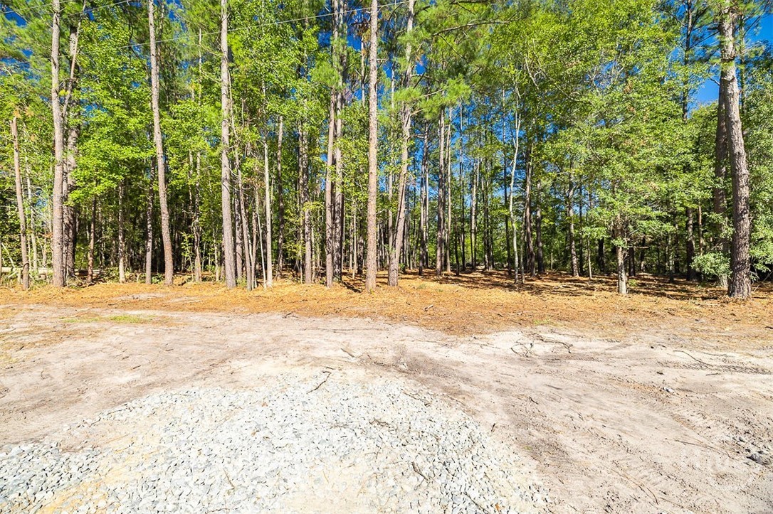 5590 Highway 17 Property Photo 17