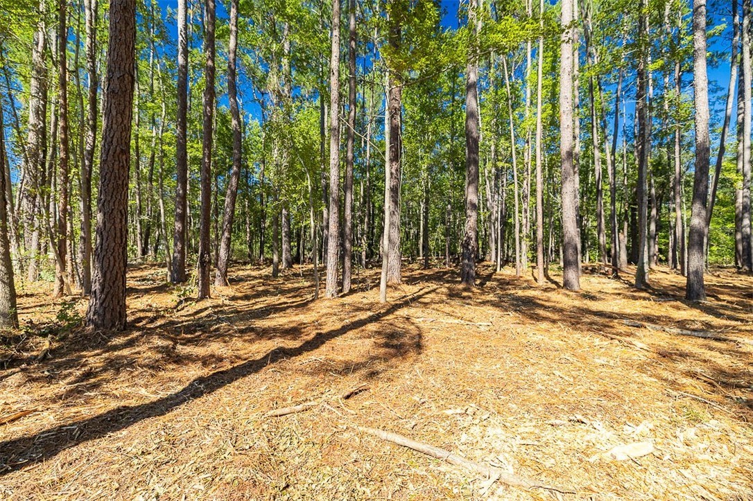 5590 Highway 17 Property Photo 20