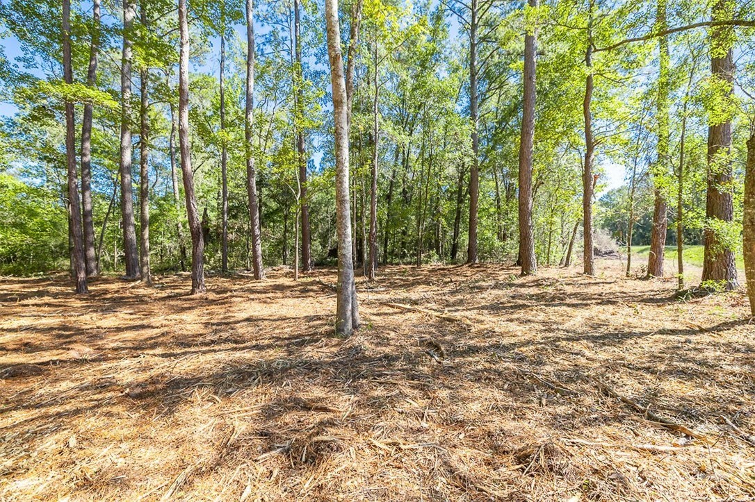 5590 Highway 17 Property Photo 21
