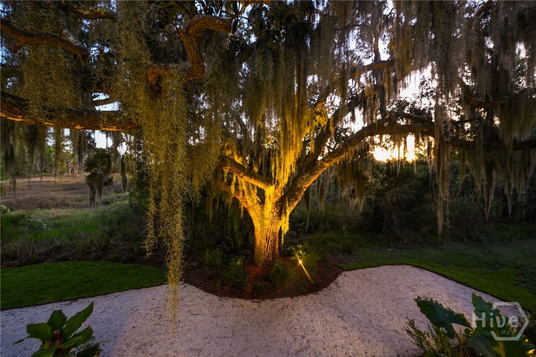 221 Lyman Hall Property Photo 44