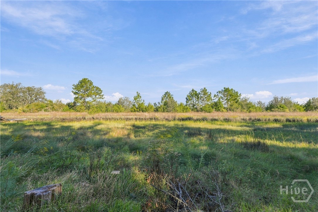 1477 Lake Drive Property Photo 33