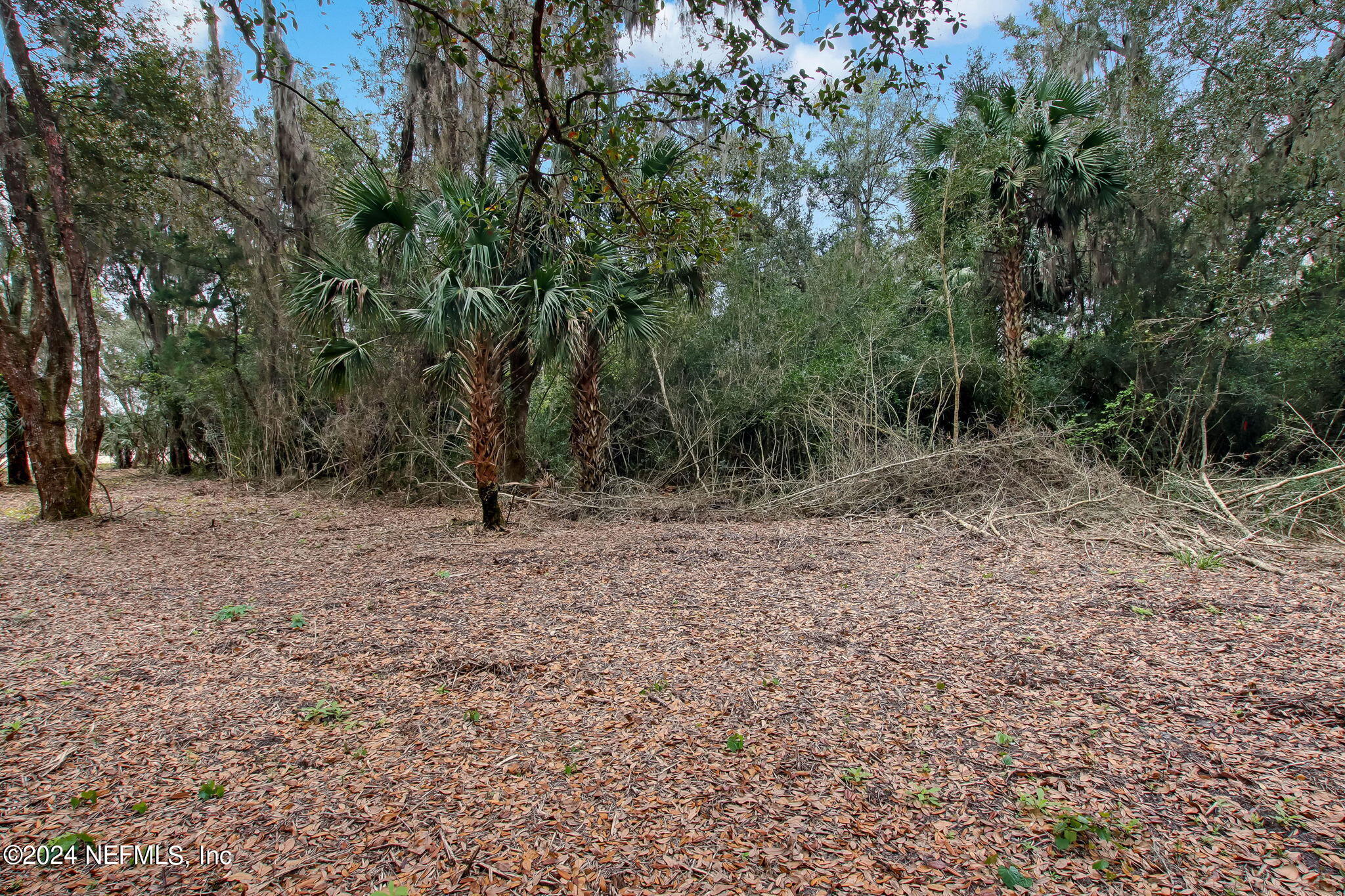 264 Shell Ridge Lane Property Photo 4