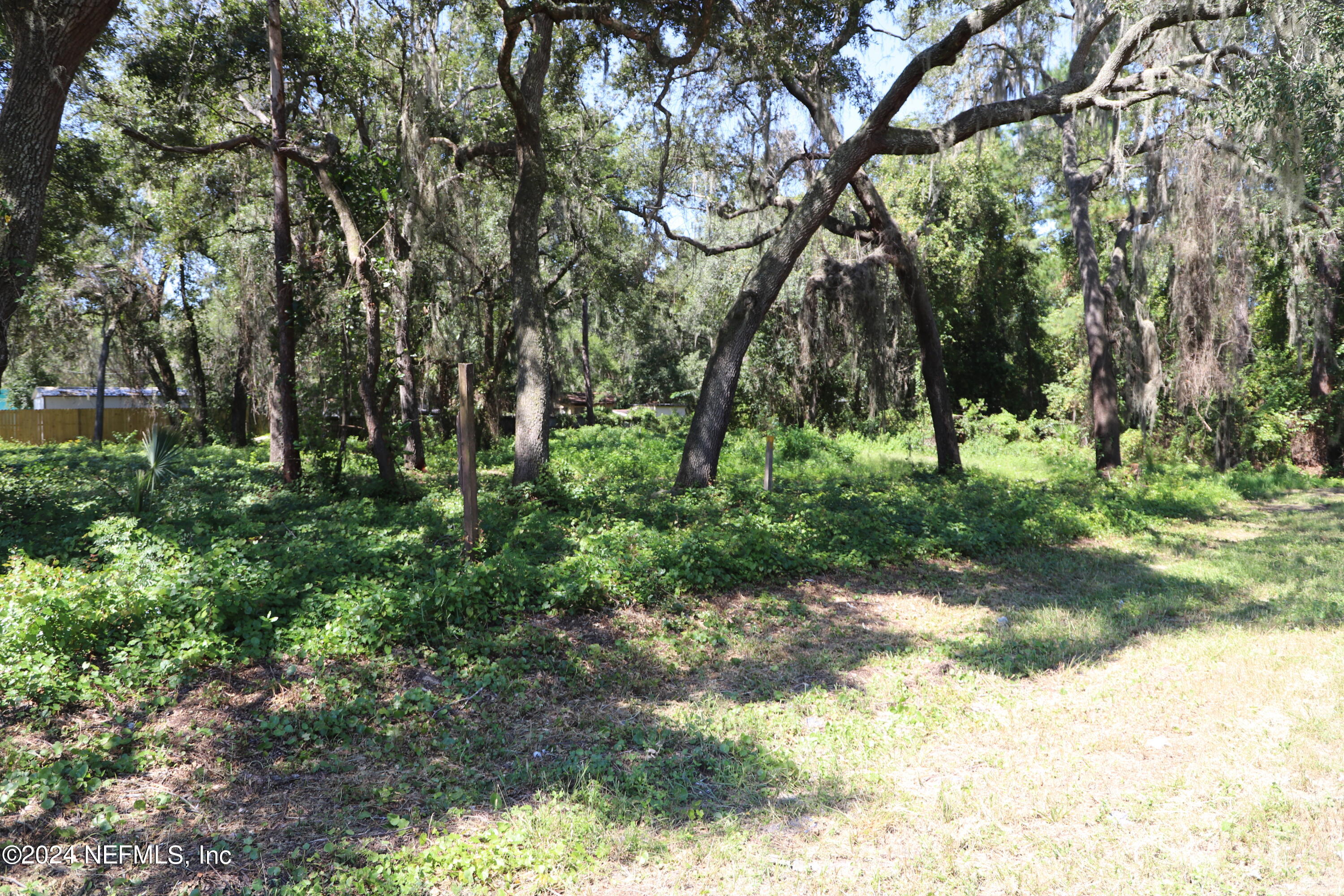 8778 State Road 21 Property Photo 3