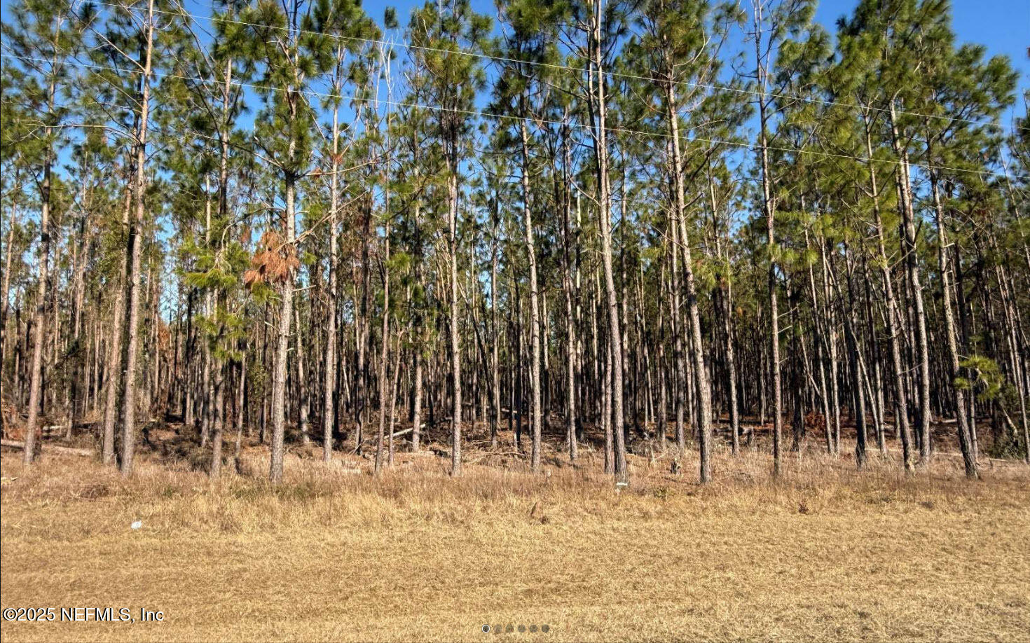 Tbd Nw County Road 251 Property Photo