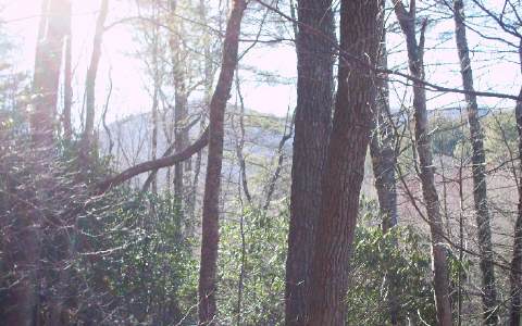 #109 Big Pine Drive Property Photo 1
