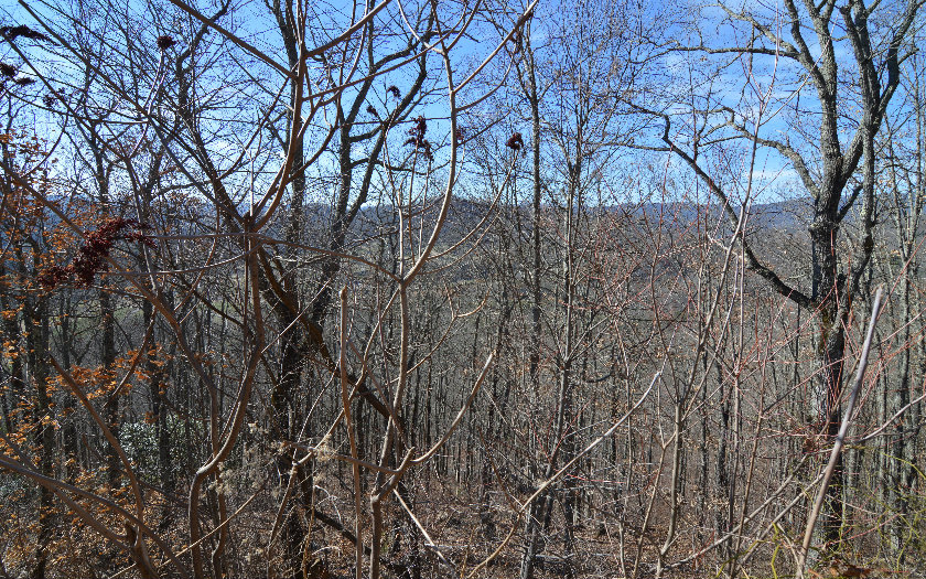 Lot 60m Mountain Harbour Drive Property Photo 4