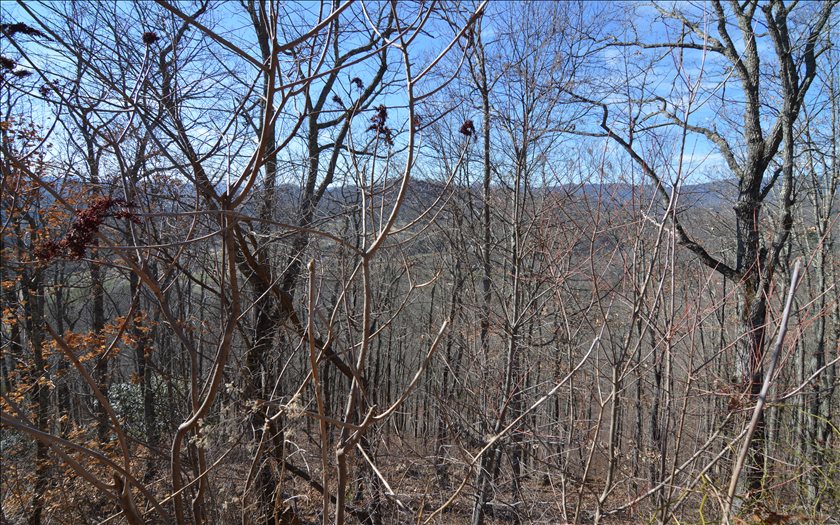 Lot 60m Mountain Harbour Drive Property Photo 8