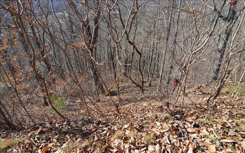 Lot 60m Mountain Harbour Drive Property Photo 10