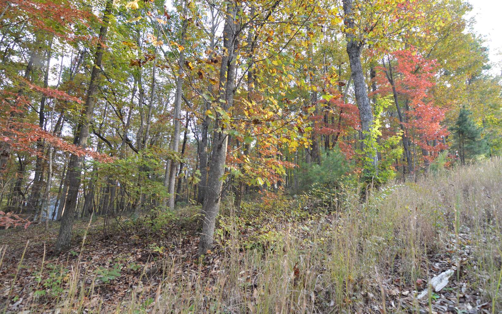 Lot 1 Serenity Ridge Lane Property Photo 4