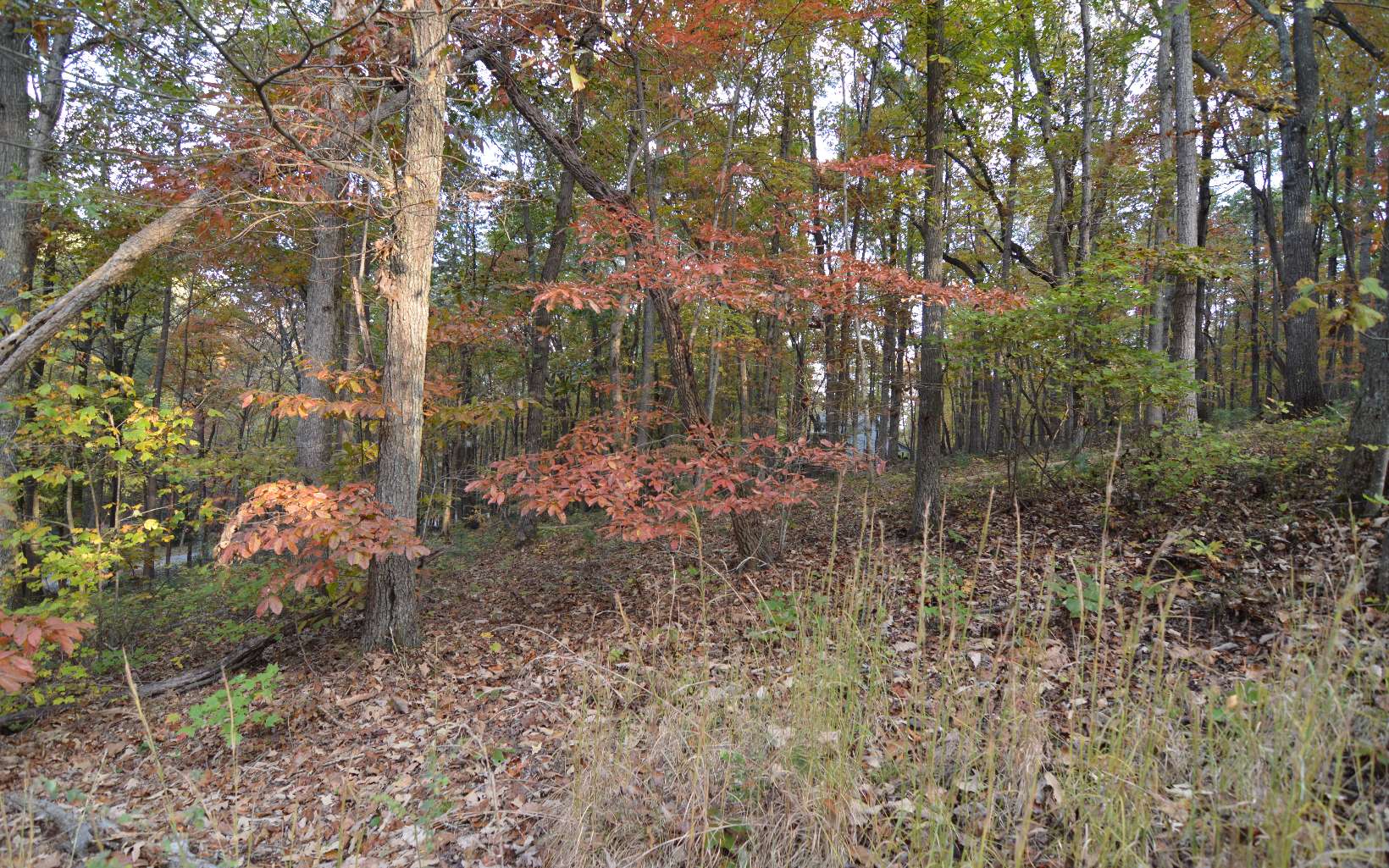 Lot 1 Serenity Ridge Lane Property Photo 5