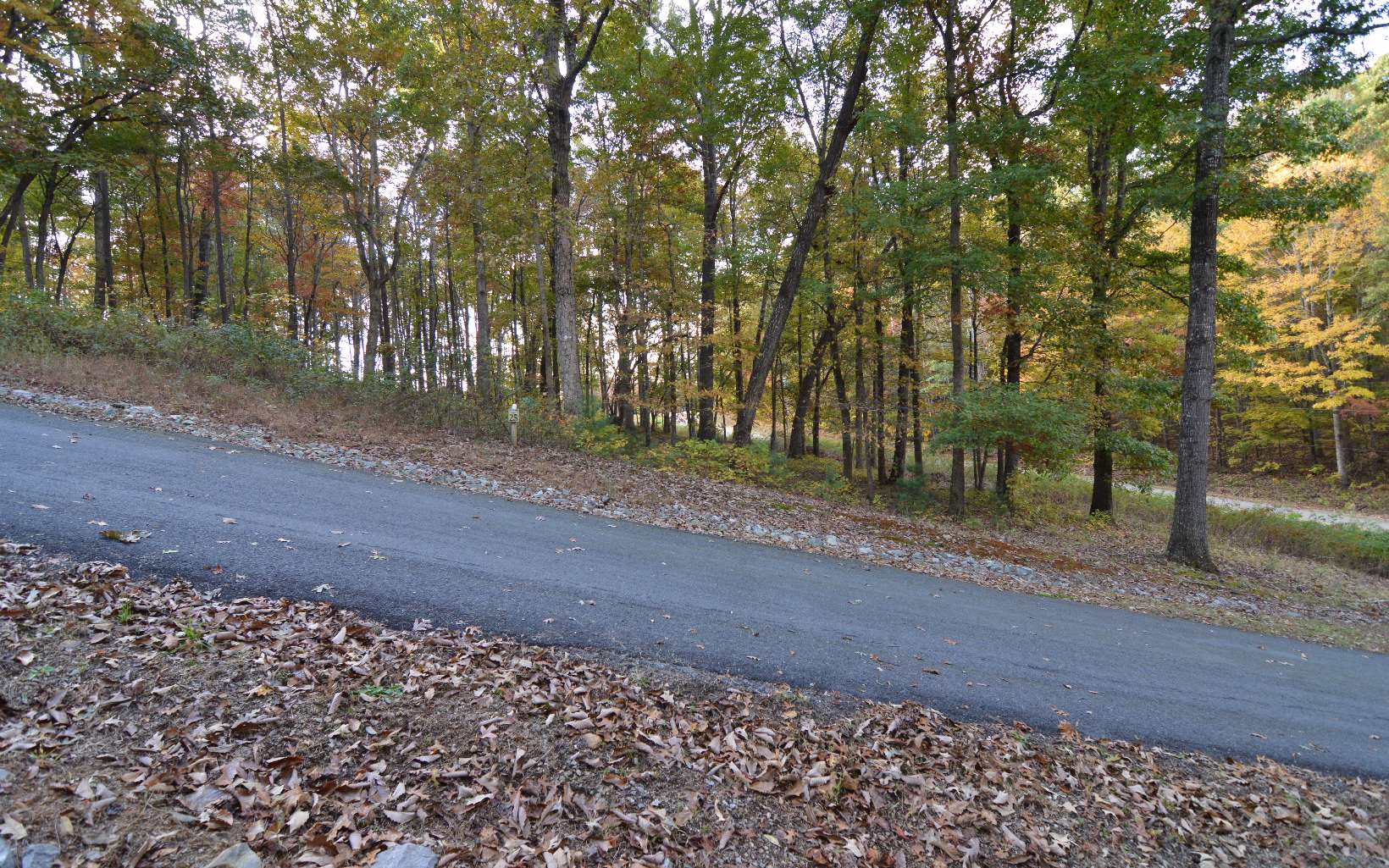 Lot 1 Serenity Ridge Lane Property Photo 7