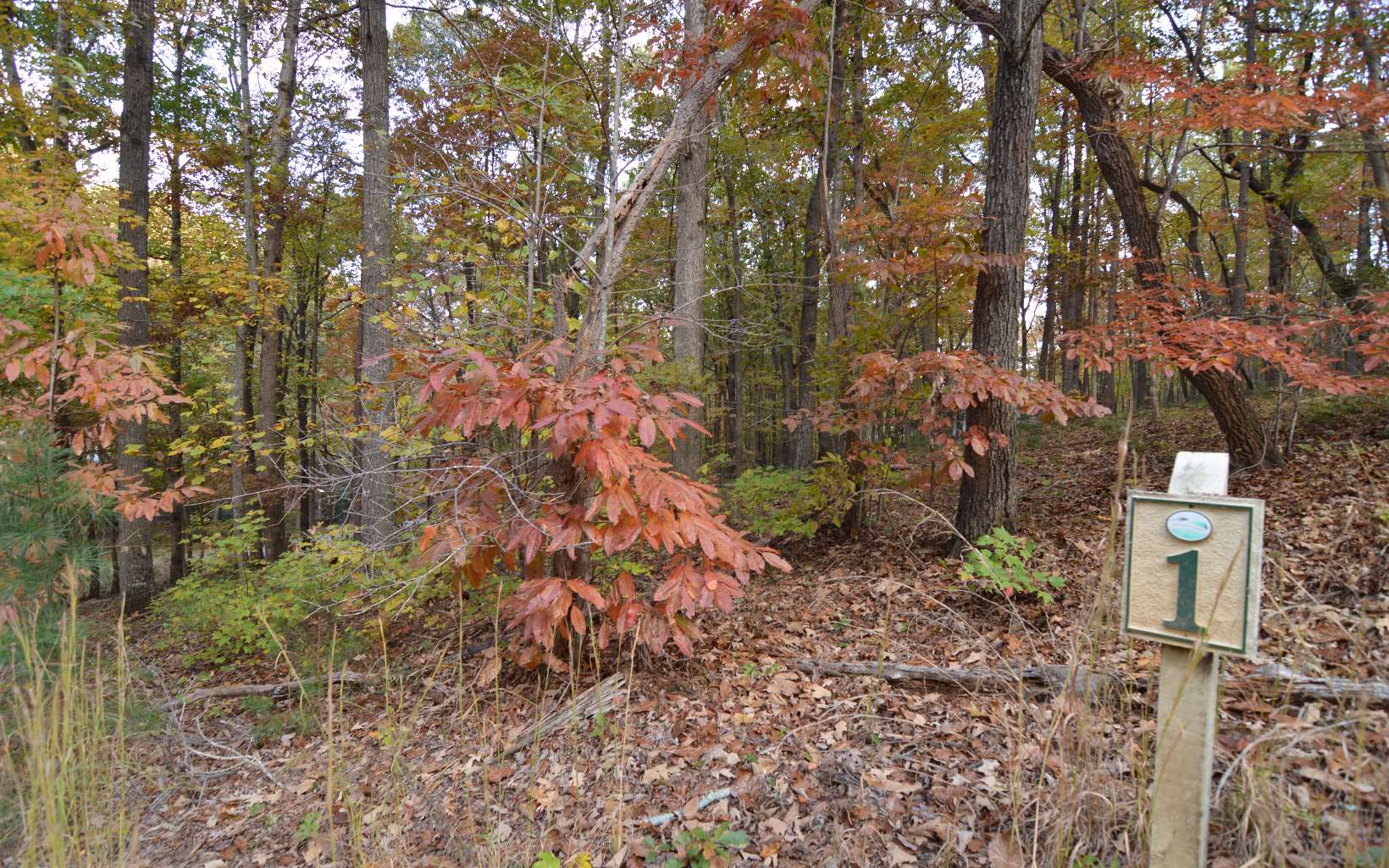 Lot 1 Serenity Ridge Lane Property Photo 10