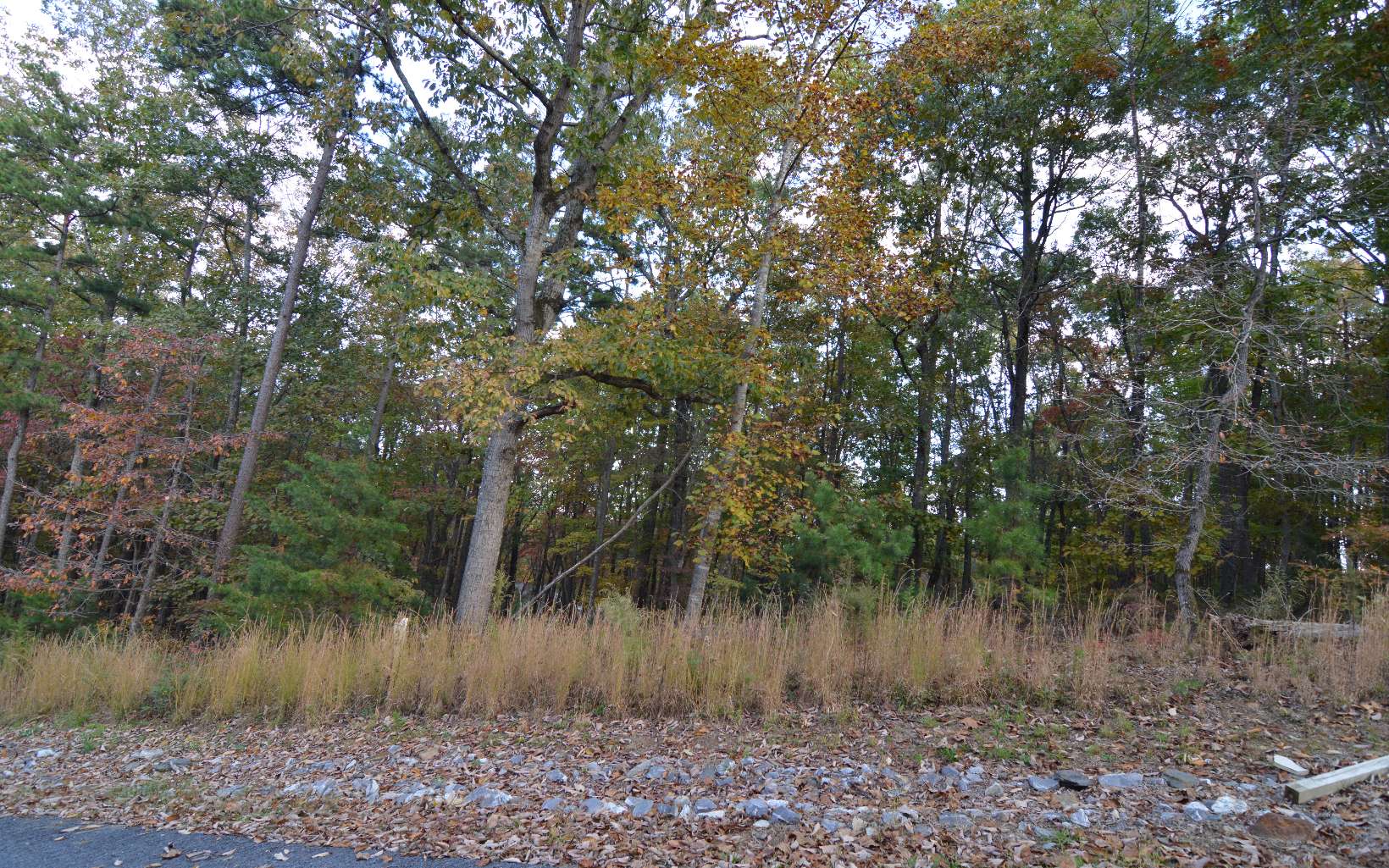 Lot 2 Serenity Ridge Lane Property Photo 1