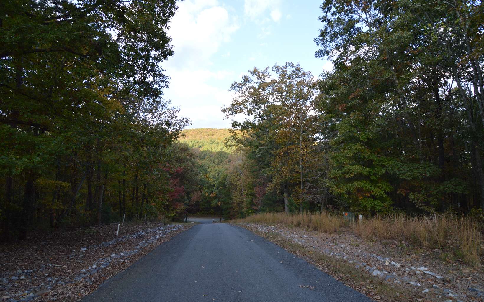 Lot 2 Serenity Ridge Lane Property Photo 4