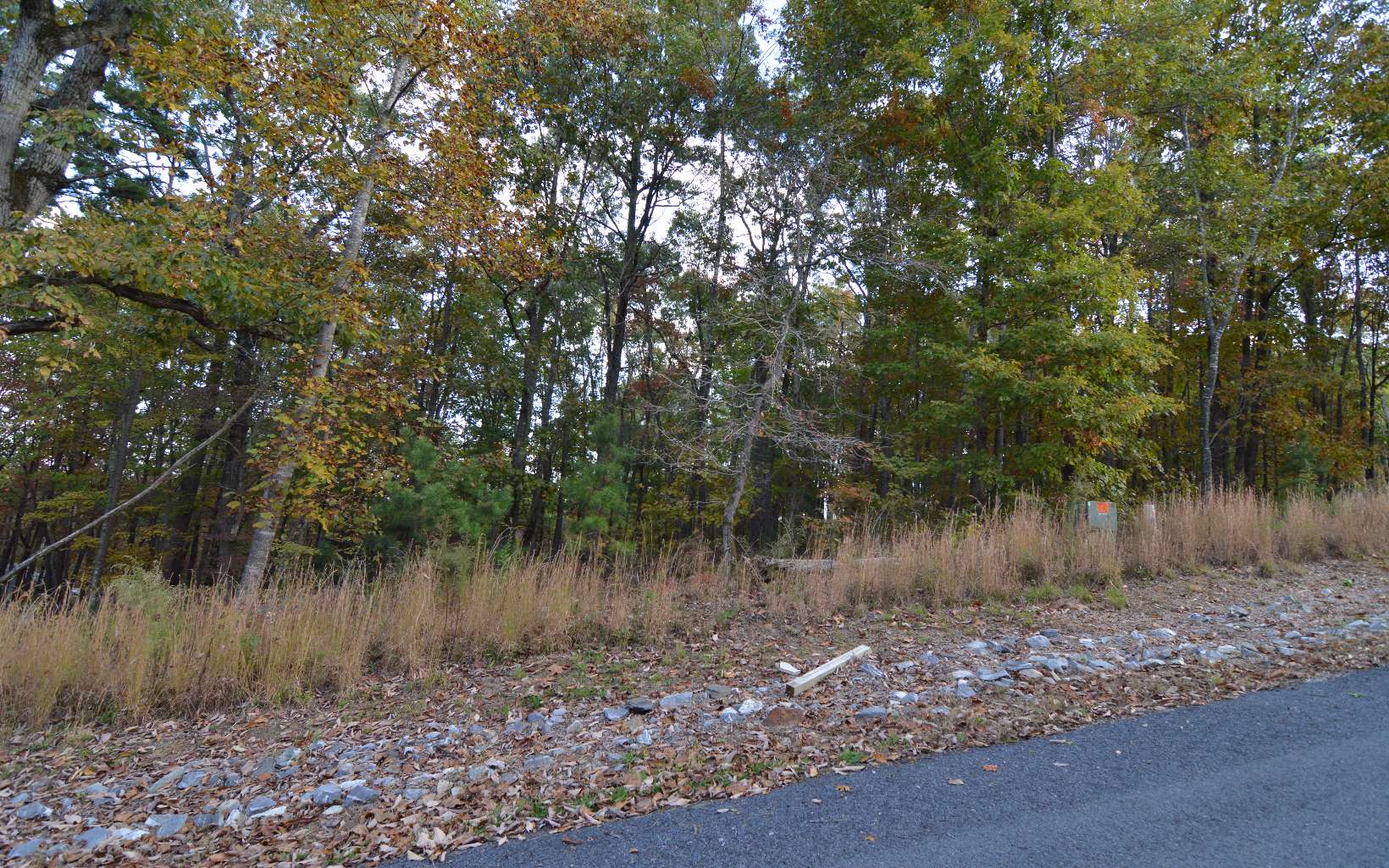 Lot 2 Serenity Ridge Lane Property Photo 5