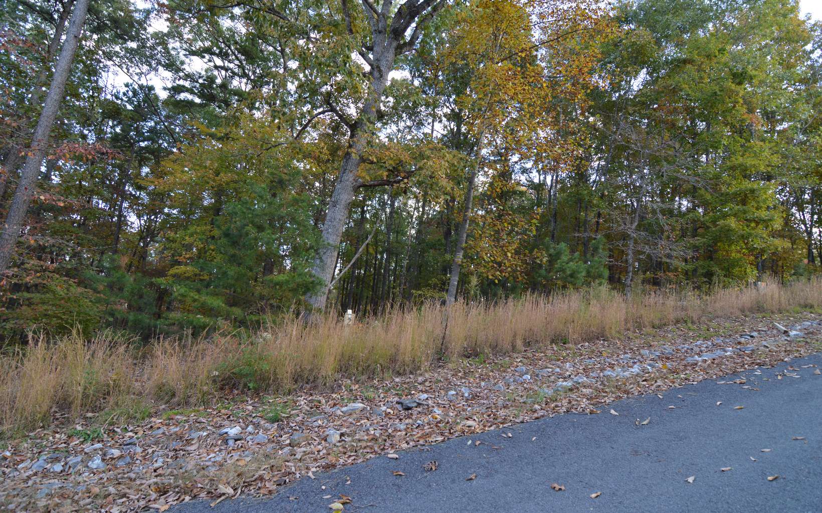 Lot 2 Serenity Ridge Lane Property Photo 6