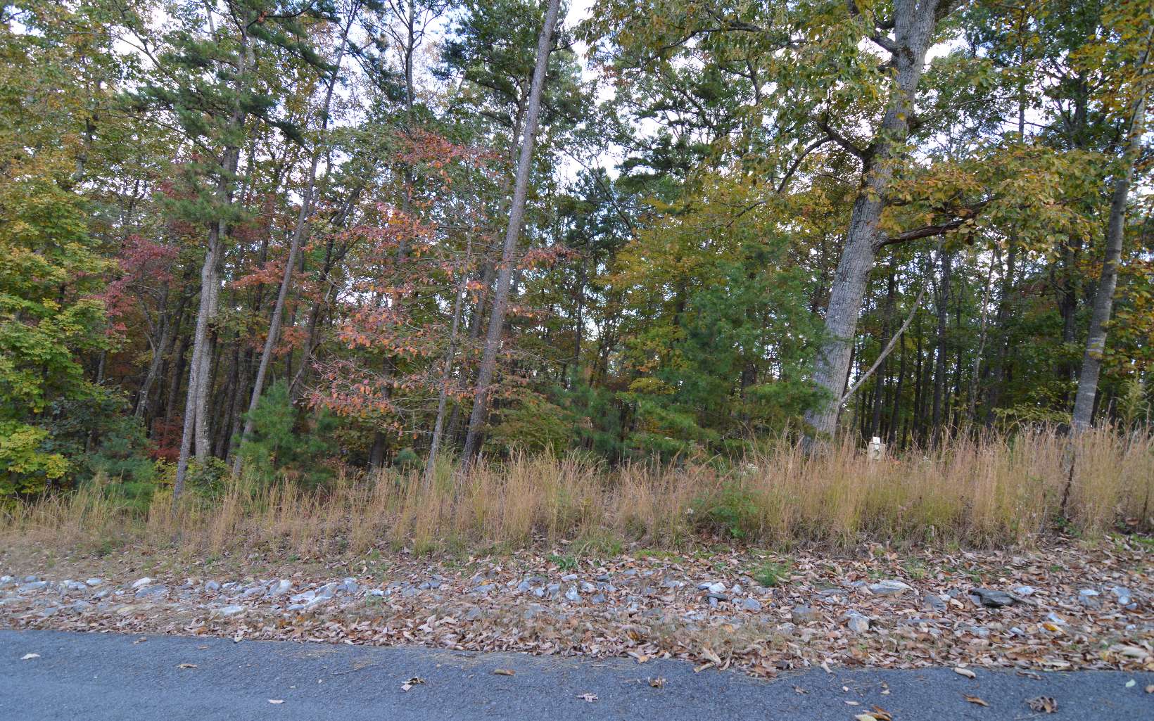 Lot 2 Serenity Ridge Lane Property Photo 7