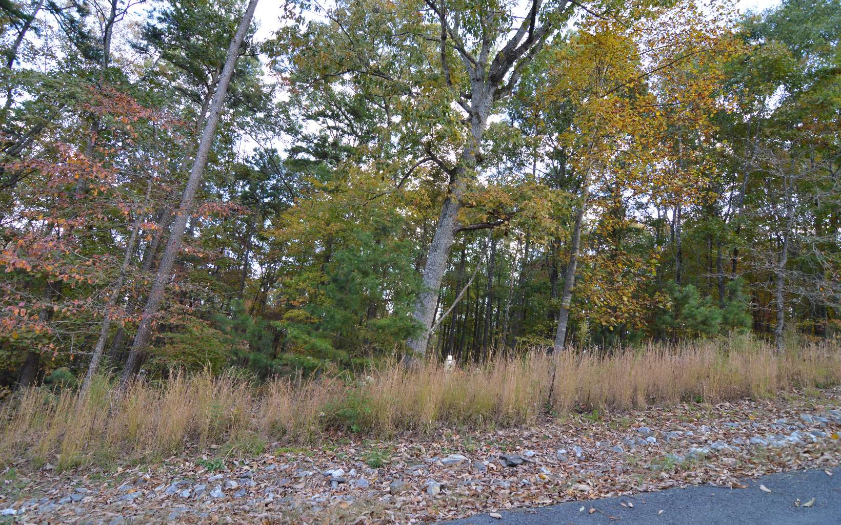 Lot 2 Serenity Ridge Lane Property Photo 8