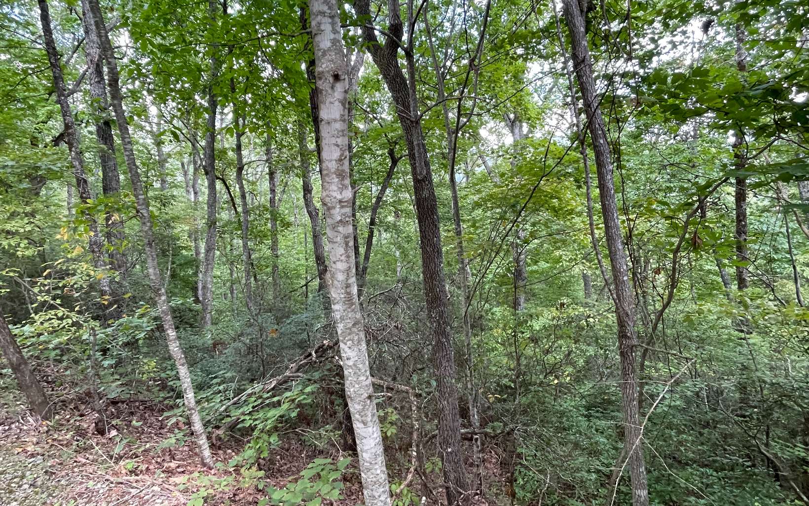 Lt 20 Enchanted Ridge Property Photo