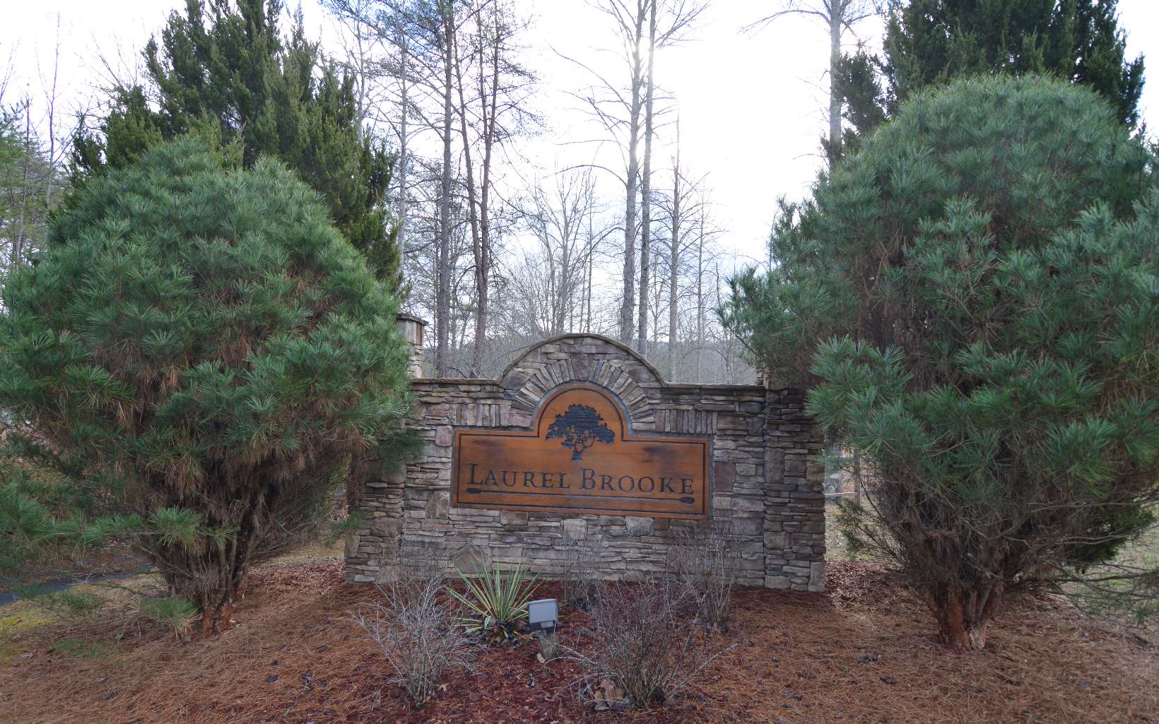 Lot 48 Laurel Brooke Property Photo 1