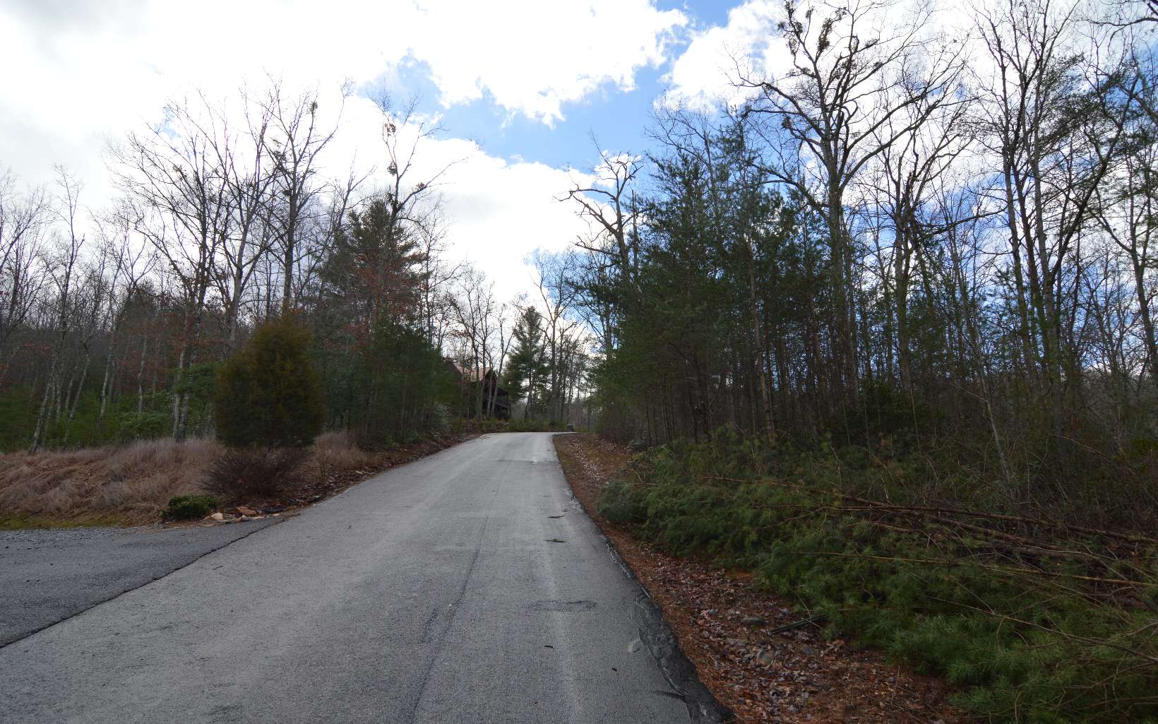 Lot 48 Laurel Brooke Property Photo 3