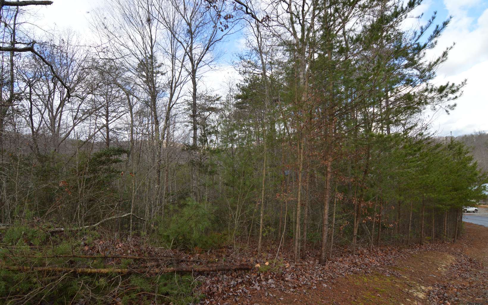 Lot 48 Laurel Brooke Property Photo 5