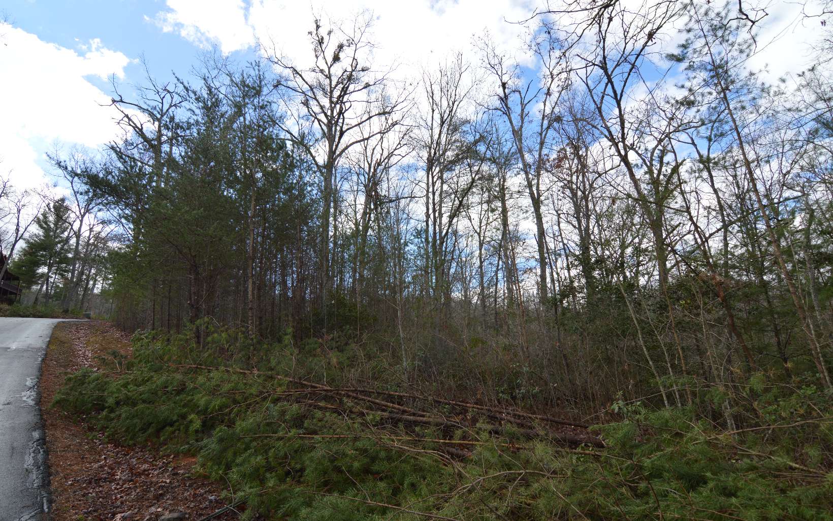 Lot 48 Laurel Brooke Property Photo 6