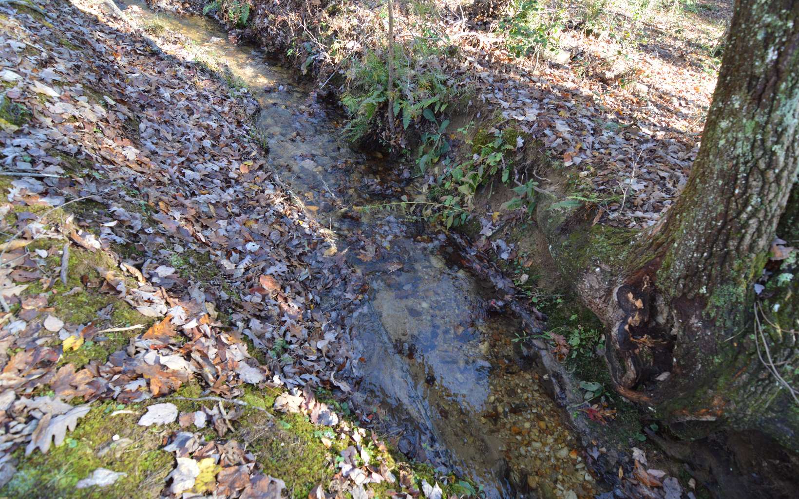 Lot 48 Laurel Brooke Property Photo 13