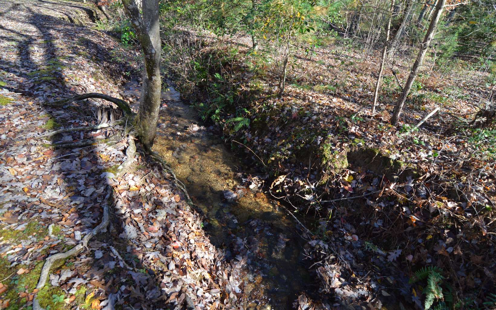 Lot 48 Laurel Brooke Property Photo 14