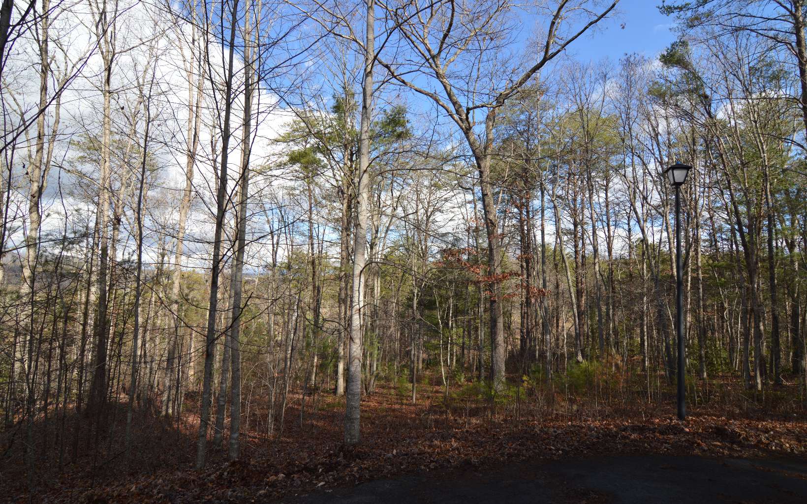 Lot 26 Coosa Bend Drive Property Photo 1
