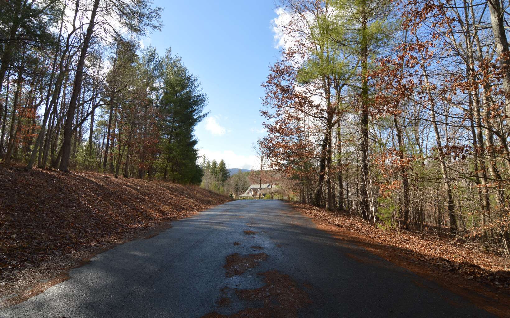 Lot 26 Coosa Bend Drive Property Photo 5
