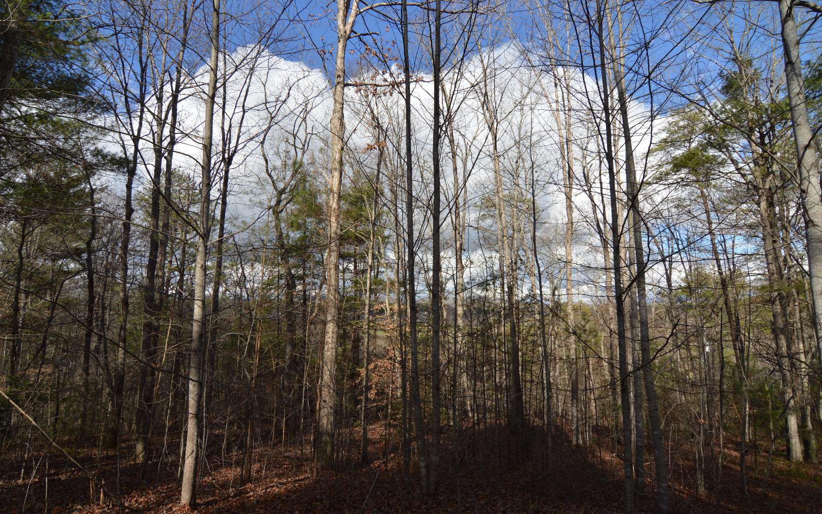 Lot 26 Coosa Bend Drive Property Photo 6