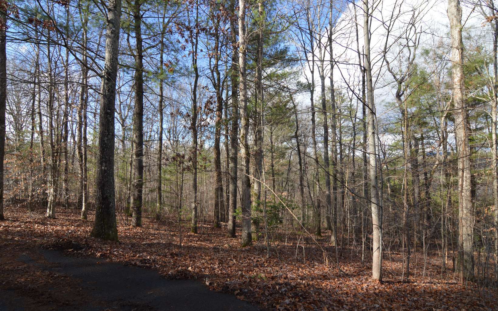 Lot 26 Coosa Bend Drive Property Photo 7