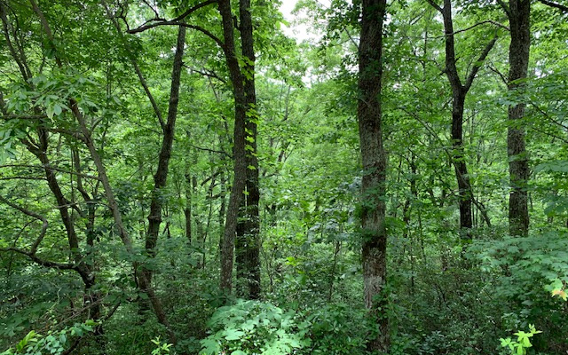 Lot 50A Eagles View Property Photo 1