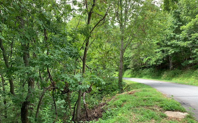 Lot 50a Eagles View Property Photo 7