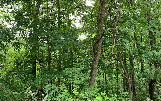 Lot 50a Eagles View Property Photo 9
