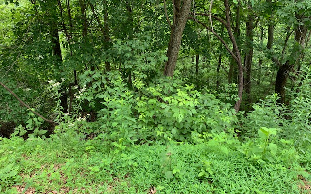 Lot 50a Eagles View Property Photo 10