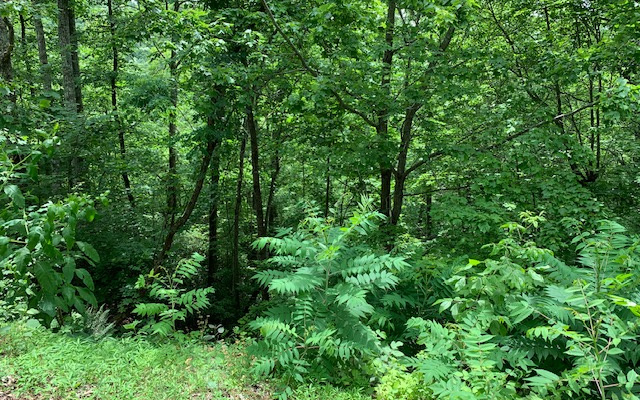Lot 50a Eagles View Property Photo 19