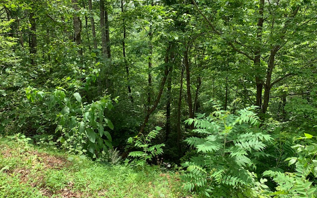 Lot 50a Eagles View Property Photo 21