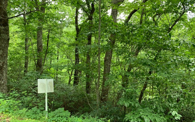 Lot 50a Eagles View Property Photo 24