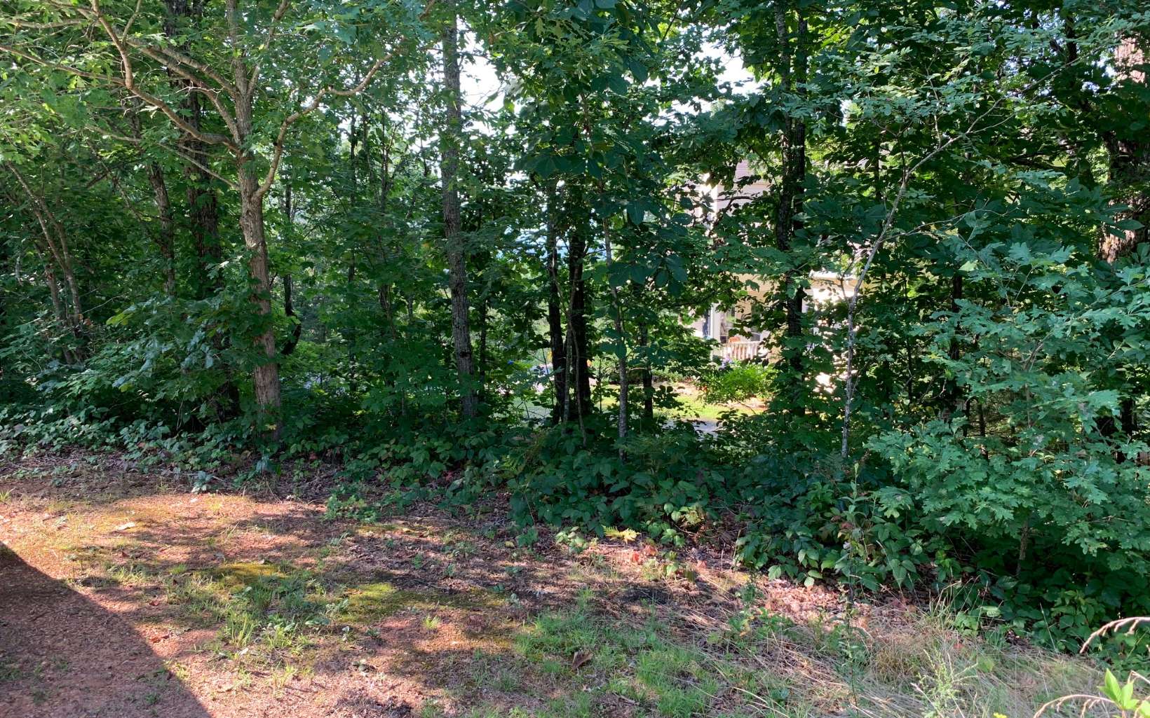 Lot 7 Golden Oaks Property Photo 16