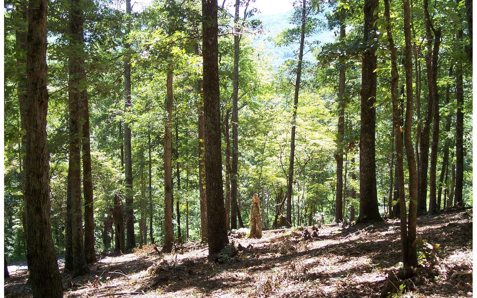 22 Thunder Road Property Photo 1