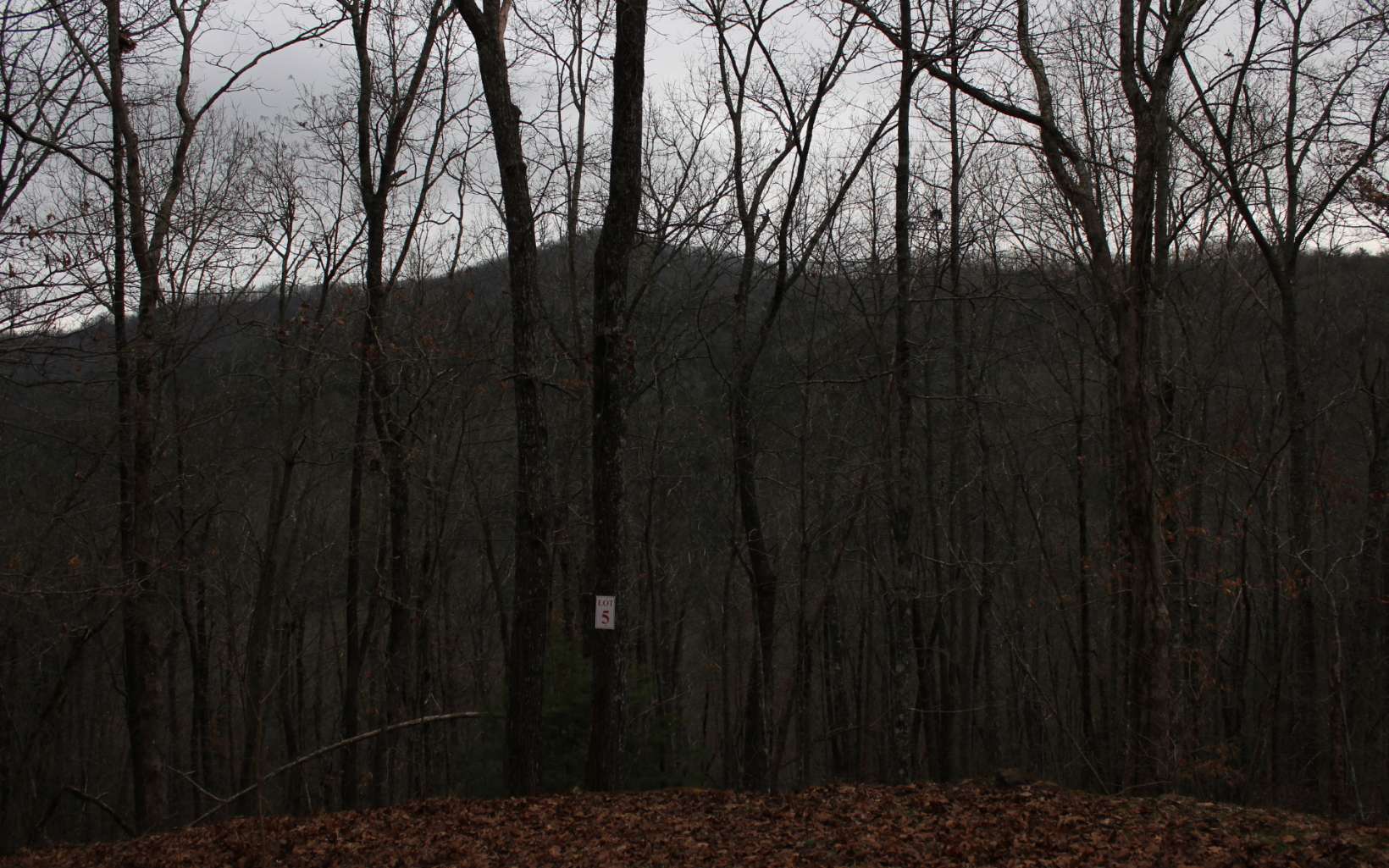 6 Thunder Road Property Photo 1