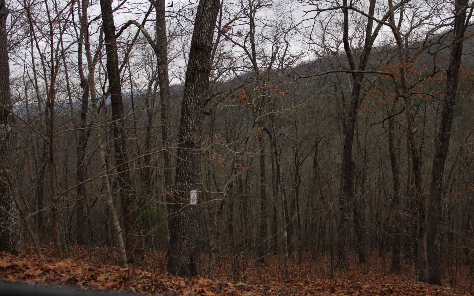 7 Thunder Road Property Photo 1