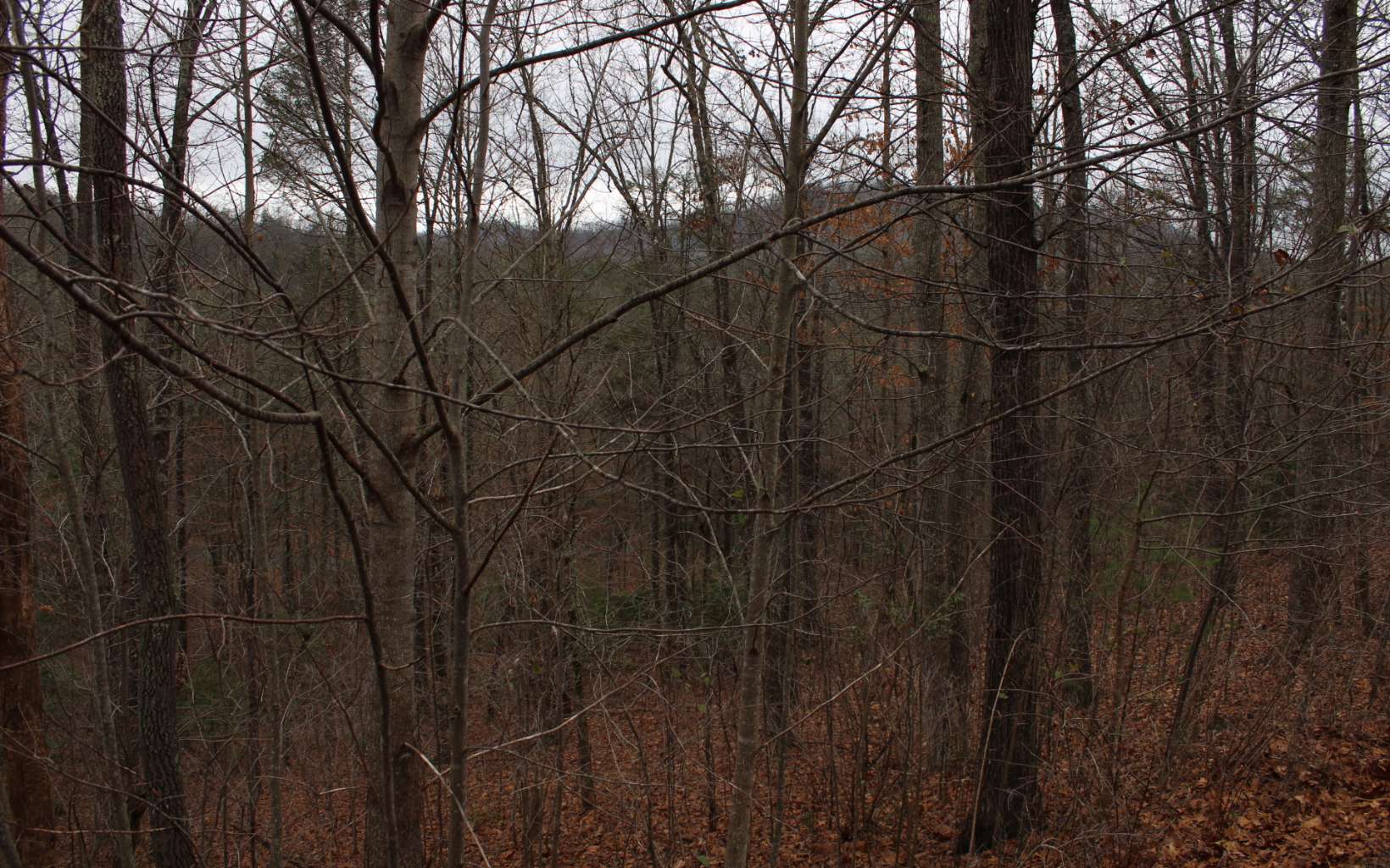 20 Thunder Road Property Photo 1