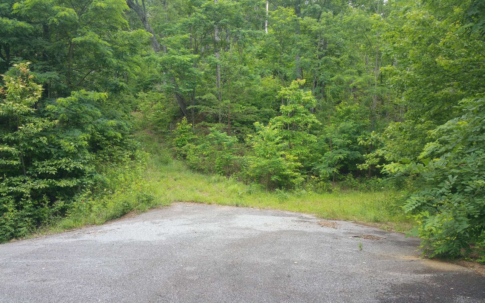 Lot 7 Mill Creek Estates Property Photo 4