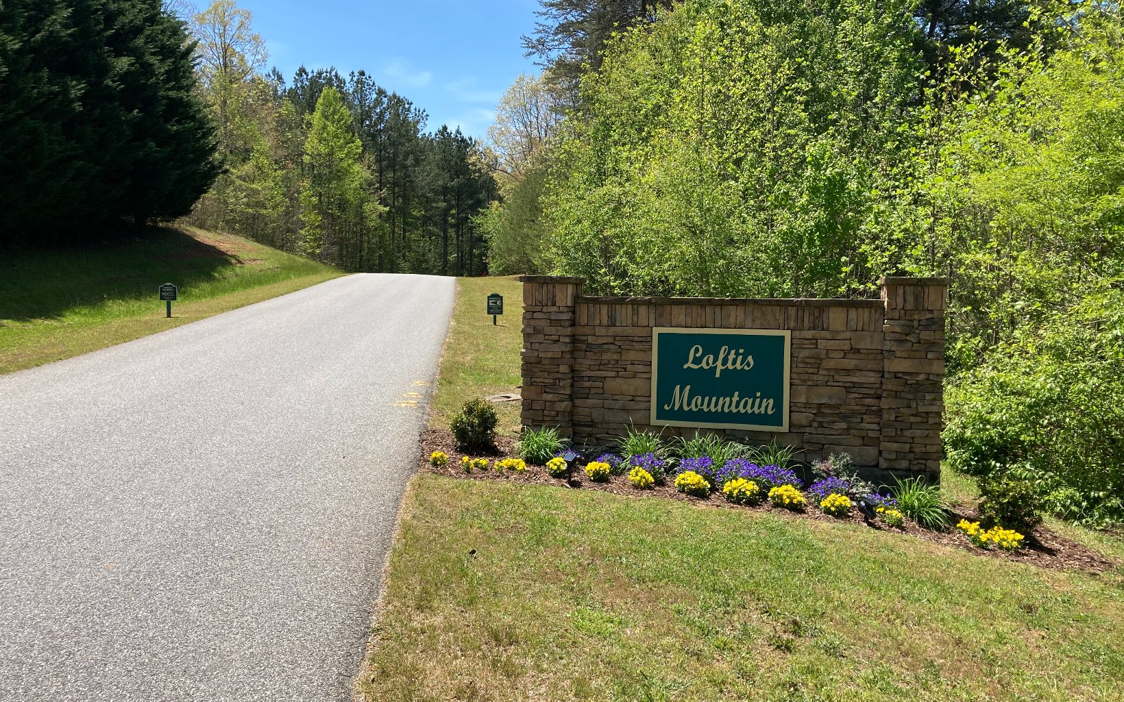 Lot 28 Loftis Mountain Property Photo 2