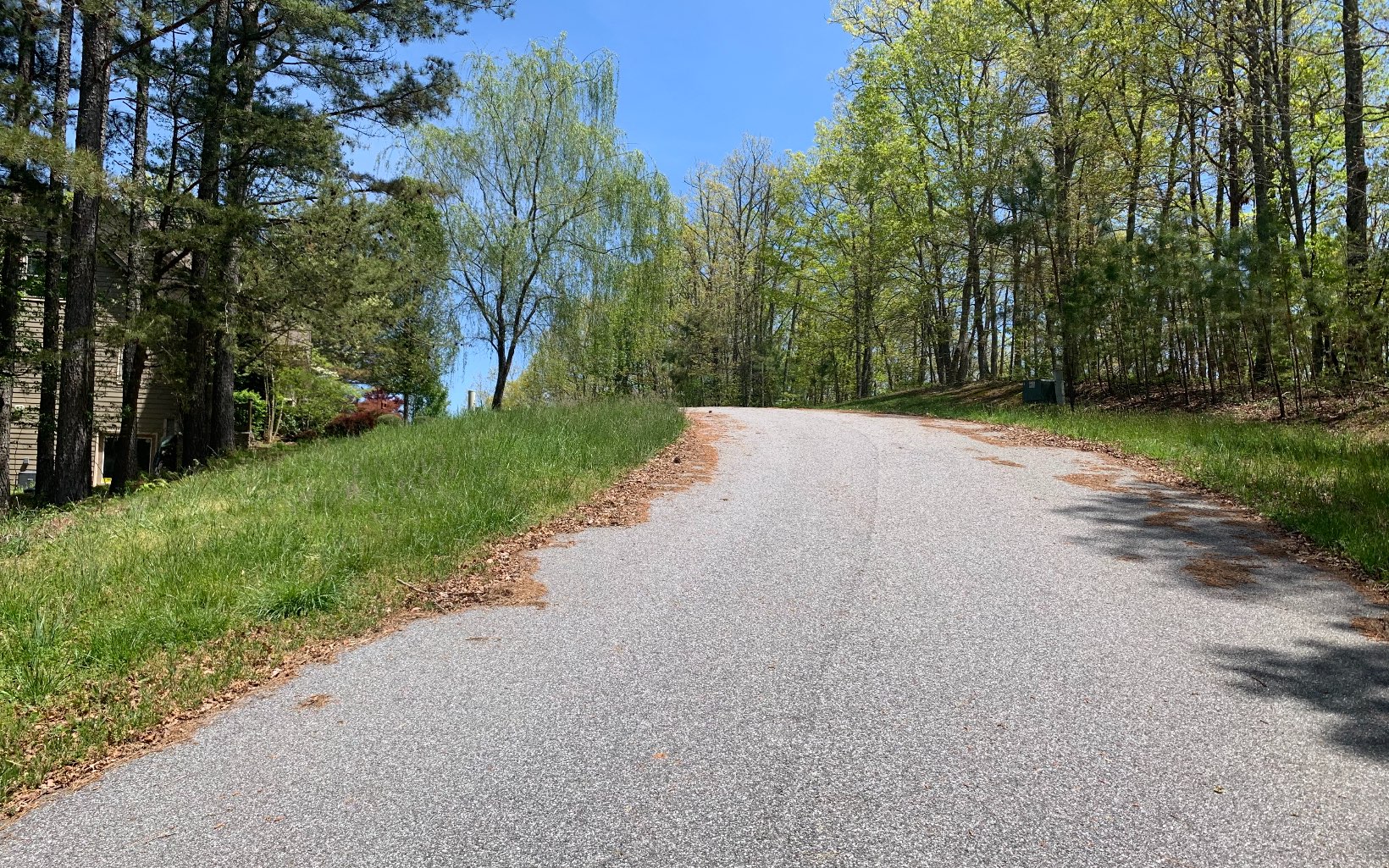 Lot 28 Loftis Mountain Property Photo 4